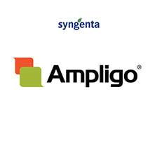 AMPLIGO1