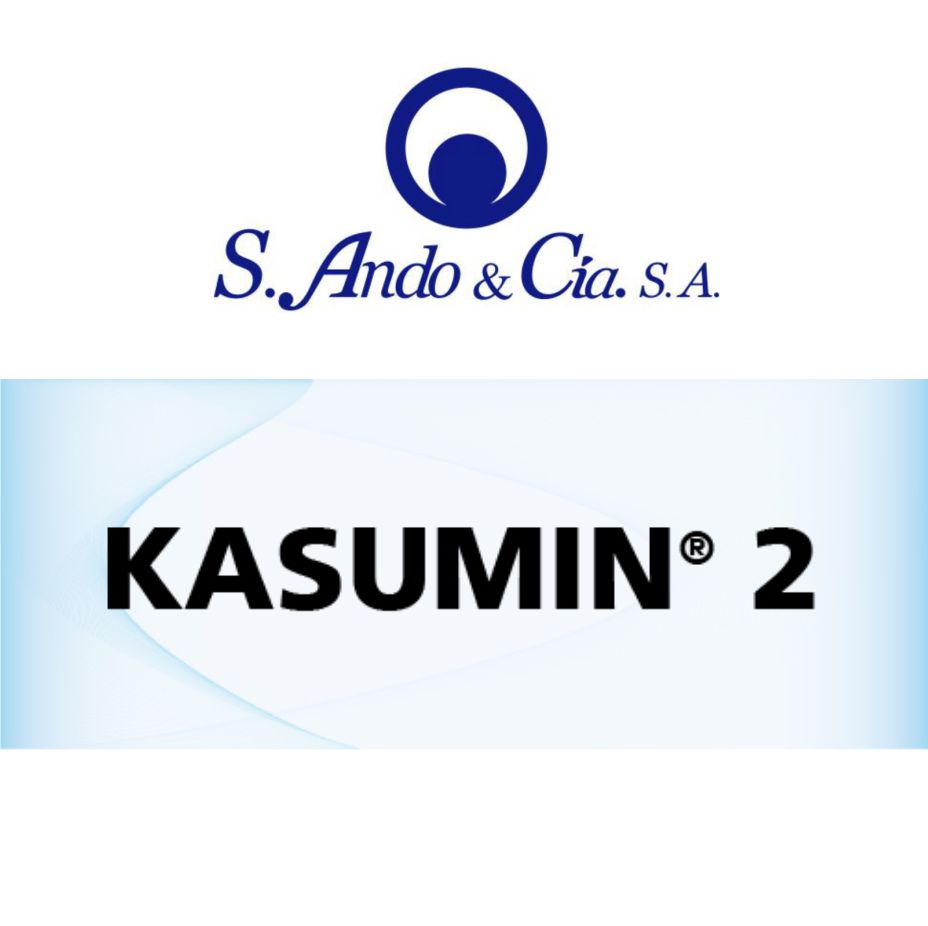 Ando – Kasumin