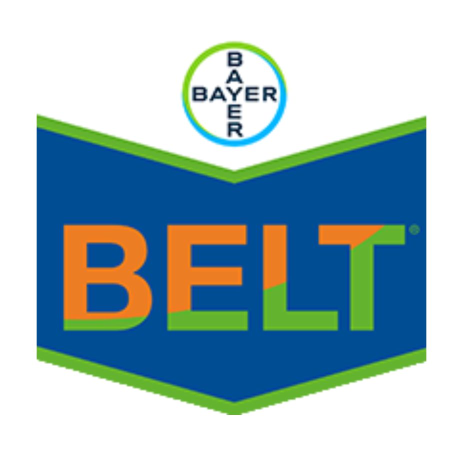 Bayer – Belt