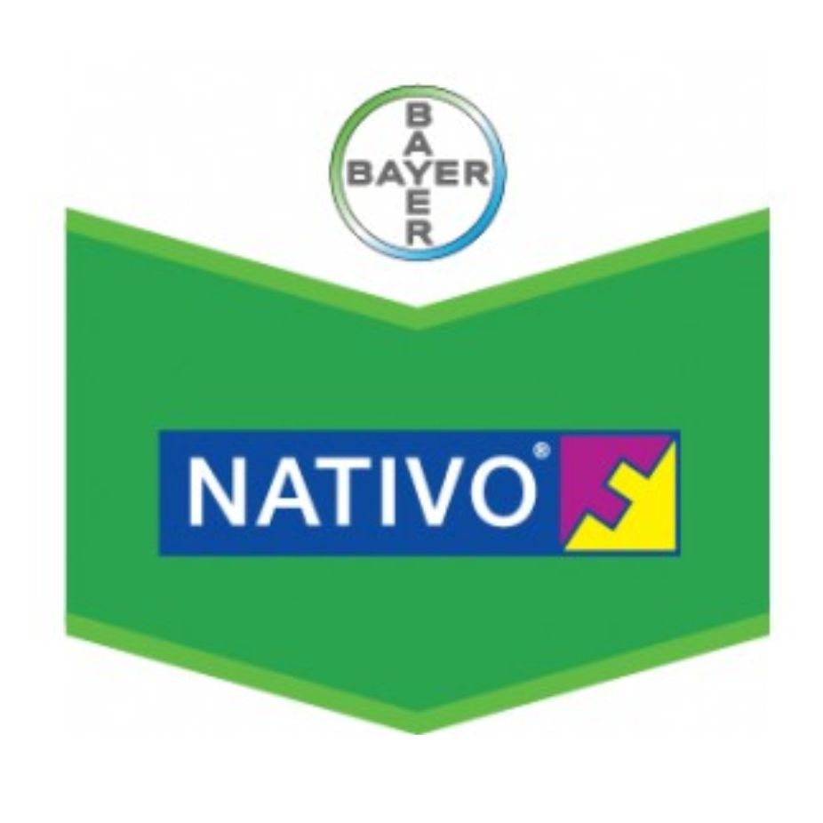 Bayer – Nativo