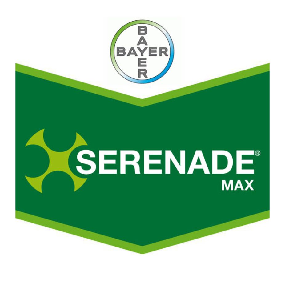 Bayer – Serenade Max