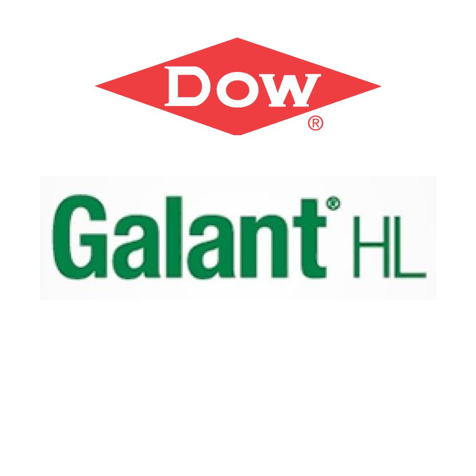 Dow – Galant HL