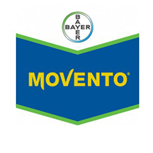 MOVENTO1